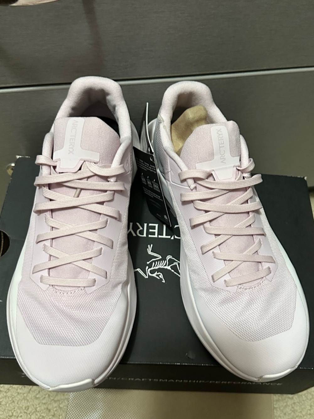 Arc'teryx Women's Norvan LD4 pink glow